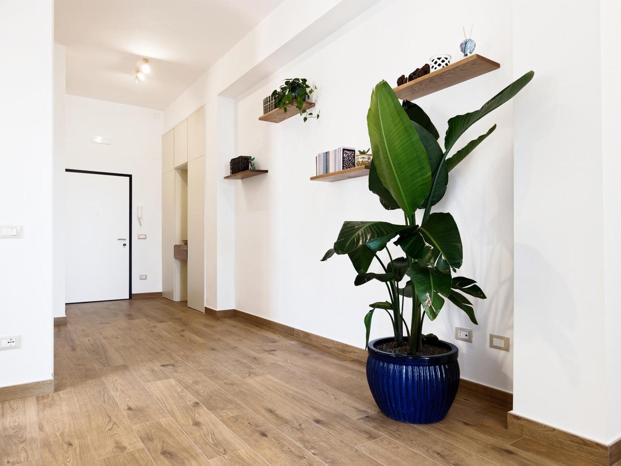 Susanna Boutique Home Вико-Экуенсе Экстерьер фото